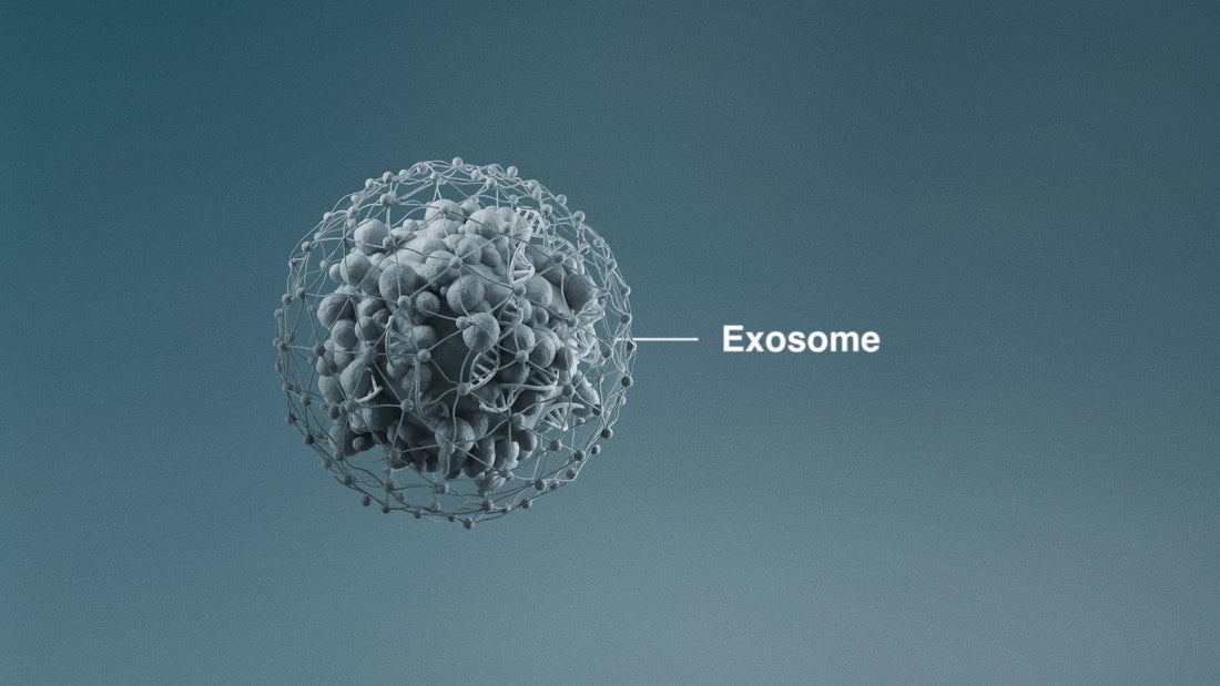 dermalogica blog wat zijn exosomen